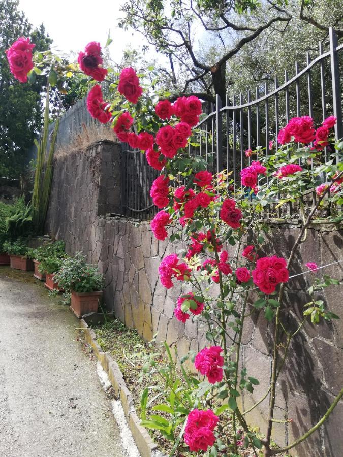 Il Giardino Bed & Breakfast Pimonte Eksteriør bilde